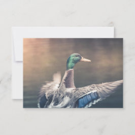 アヒル自然フォトカード