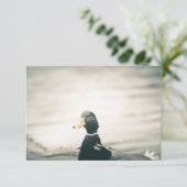 アヒル自然フォトカード (スタンド正面)