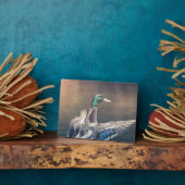 アヒル自然写真ポスター フォトプラーク (側面)