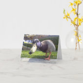 "アヒル遭遇" カード (黄色い花)