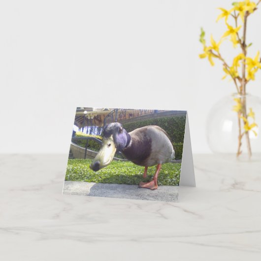 "アヒル遭遇" カード (黄色い花)