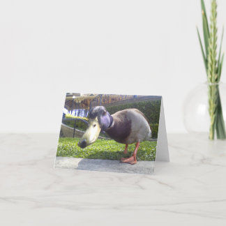 "アヒル遭遇" カード