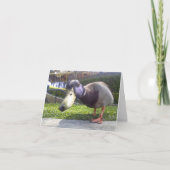 "アヒル遭遇" カード (正面)