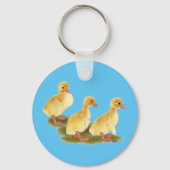 アヒル類 キーホルダー (正面)