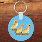 アヒル類 キーホルダー (正面)