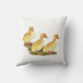 アヒル類 クッション (裏面)