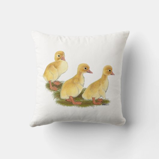 アヒル類 クッション (裏面)