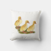 アヒル類 クッション (正面)