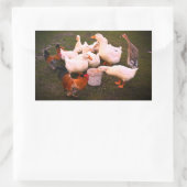 アヒル食べとニワトリおもしろい 長方形シール (バッグ)