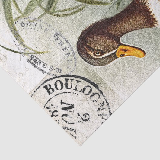 アヒル鳥の切り離しフローラフランスの消印ヴィンテージ 薄葉紙 (詳細)