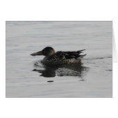 アヒル (正面横)