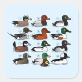 アヒル12 スクエアシール (正面)