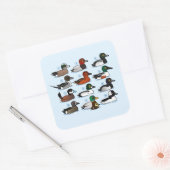 アヒル12 スクエアシール (封筒)