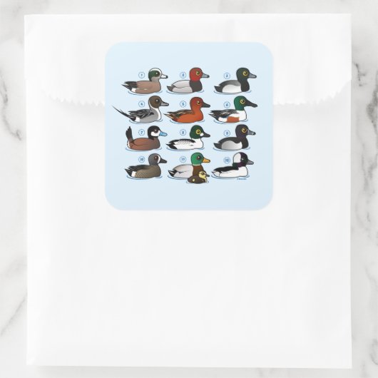 アヒル12 スクエアシール (バッグ)