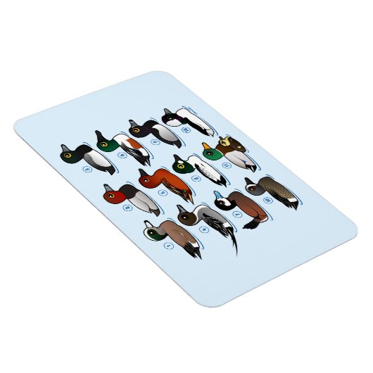 アヒル12 マグネット (右側)