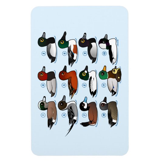 アヒル12 マグネット (縦)