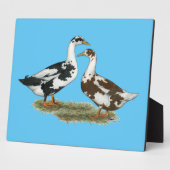 アヒル・アンコナ・ペア フォトプラーク (側面)