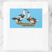 アヒル・アンコナ・ペア 長方形シール (バッグ)