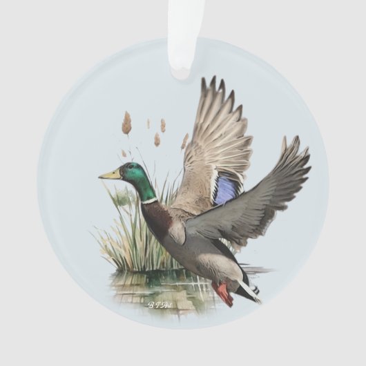 アヒル オーナメント (正面)