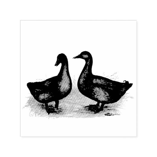 アヒル：カイウガペア セルフインキングスタンプ (デザイン)