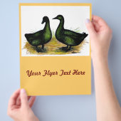 アヒル：カイウガペア チラシ (手)