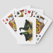 アヒル：カイウガペア トランプ (裏面)