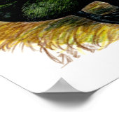 アヒル：カイウガペア ポスター (角)