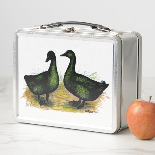 アヒル:カイウガペア メタルランチボックス (インサイチュ)