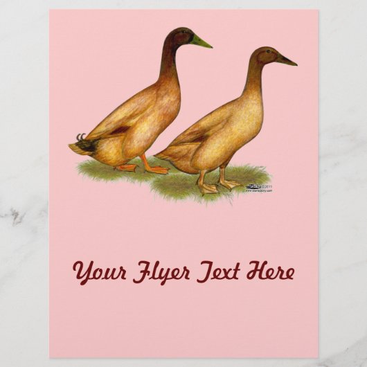 アヒル:  カーキ色のキャンベル チラシ (正面)