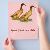 アヒル:  カーキ色のキャンベル チラシ (手)