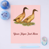 アヒル:  カーキ色のキャンベル チラシ (シングル)