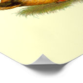 アヒル：カーキ・キャンベル ポスター (角)