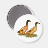 アヒル：カーキ・キャンベル マグネット (正面/裏面)