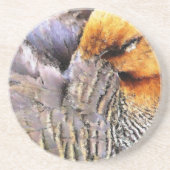 アヒル コースター (正面)