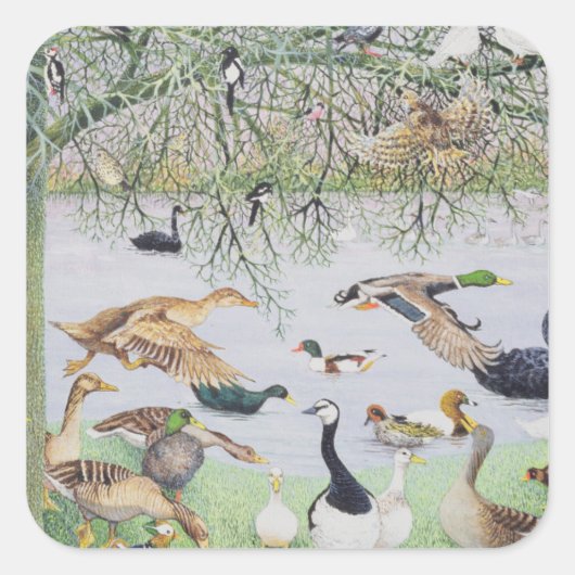 アヒル スクエアシール (正面)