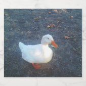 アヒル スパークリングワインラベル (シングルラベル)