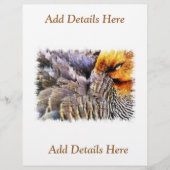 アヒル チラシ (正面)