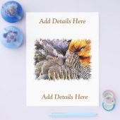 アヒル チラシ (シングル)