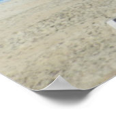 アヒル・ノースカロライナの海岸線 ポスター (角)