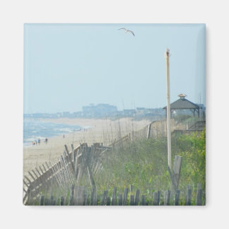 アヒル・ノースカロライナの海岸線 マグネット