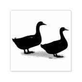 アヒル:ブラックカイガス セルフインキングスタンプ (デザイン)