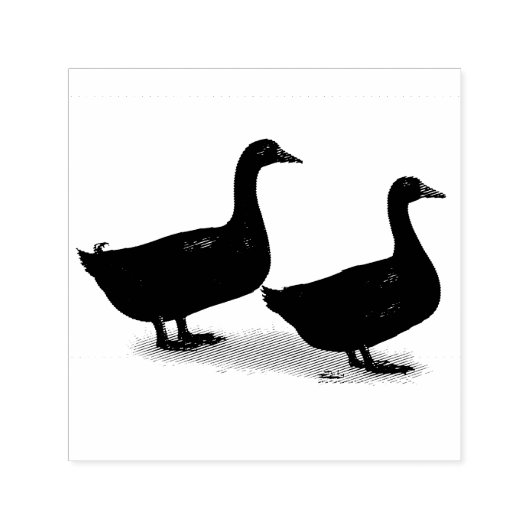アヒル:ブラックカイガス セルフインキングスタンプ (デザイン)