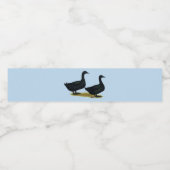 アヒル：ブラックカイガス ペットボトルラベル (シングルラベル)