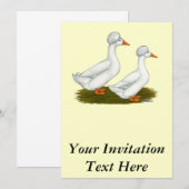 アヒル：ホワイトクレスト 招待状 (正面/裏面)