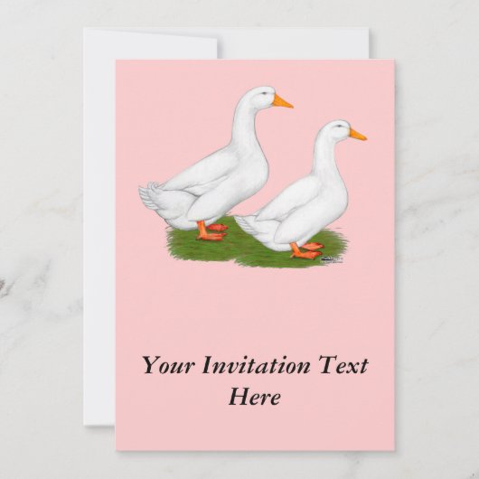 アヒル：ホワイトペキンズ 招待状 (正面)