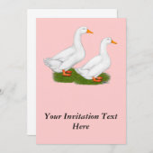 アヒル：ホワイトペキンズ 招待状 (正面/裏面)