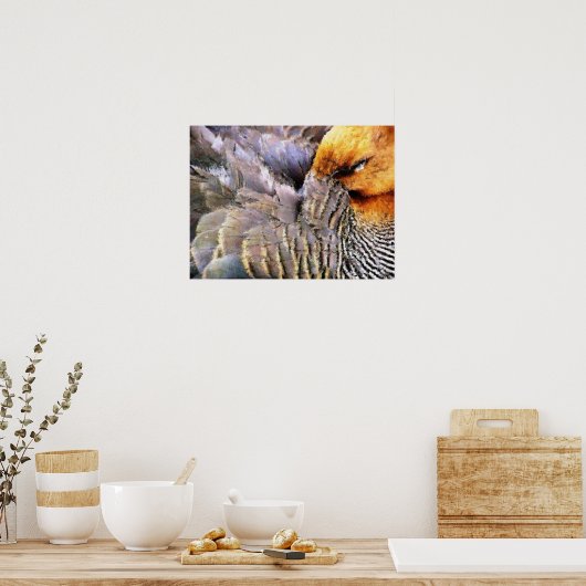 アヒル ポスター (キッチン)