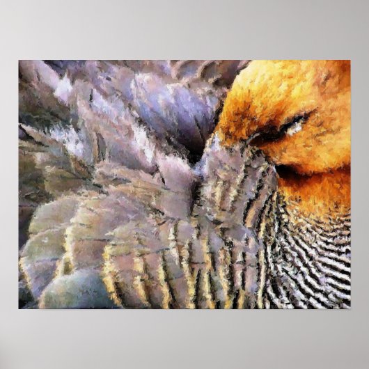 アヒル ポスター (正面)