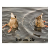 アヒル ポスター (正面)