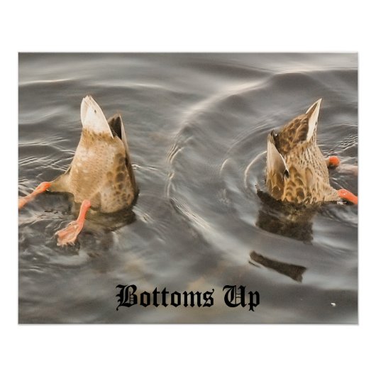 アヒル ポスター (正面)